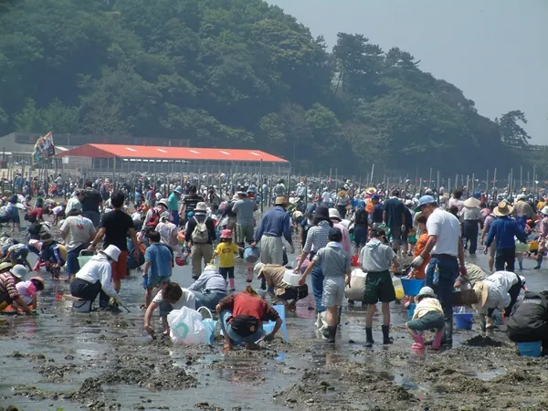 東幡豆海岸・前島 潮干狩り場 2