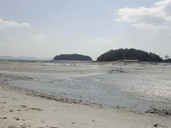 東幡豆海岸・前島 潮干狩り場 3