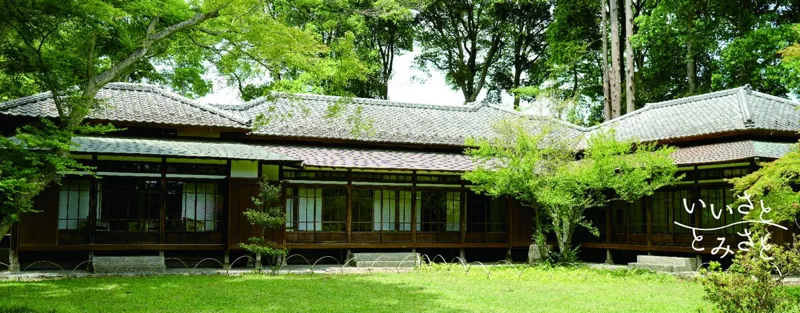 新木戸大銀杏公園