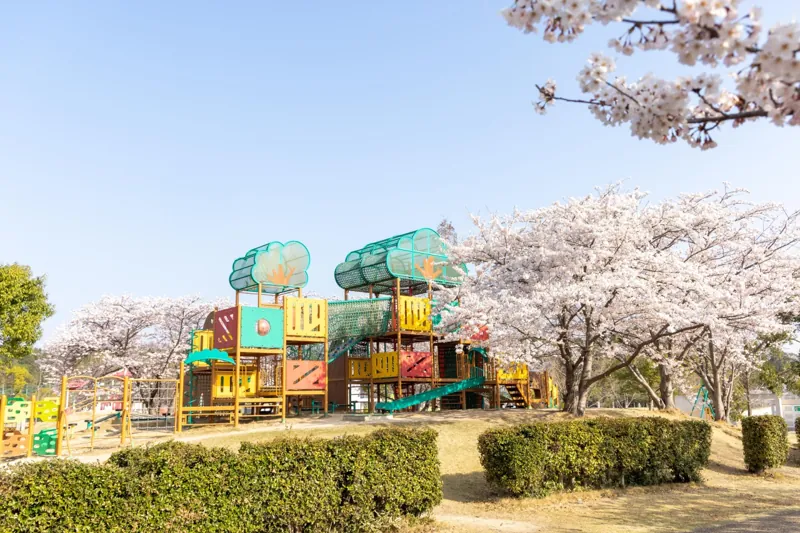 彦根市荒神山公園