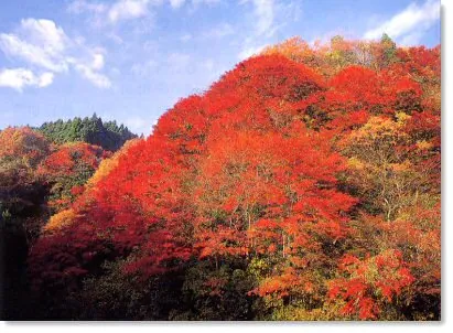 筒森もみじ谷