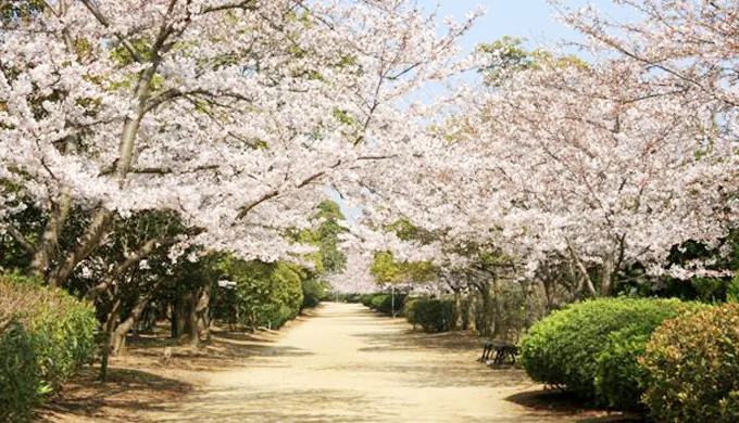 河西公園プール