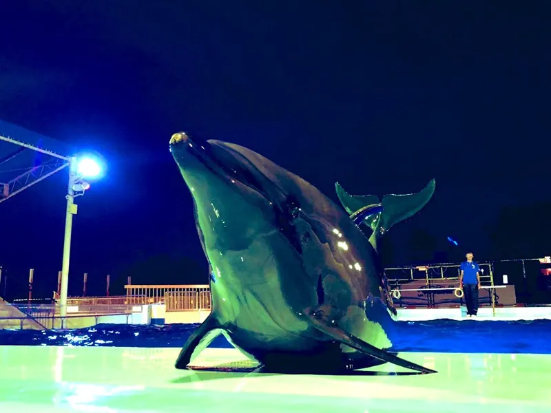 越前松島水族館 2