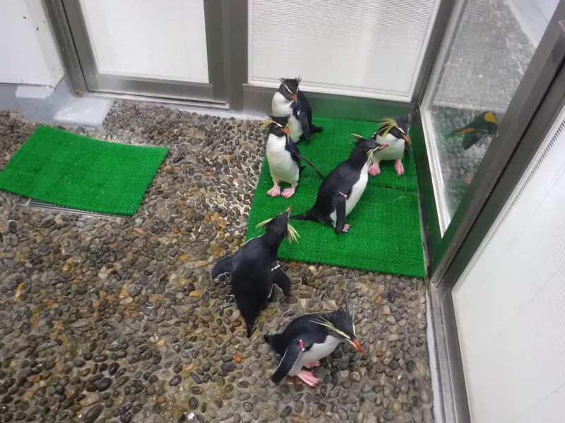 越前松島水族館 3