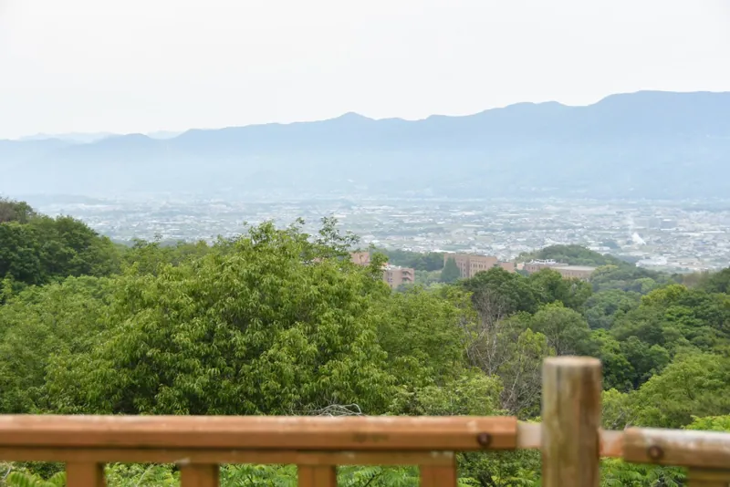 根来山げんきの森 2