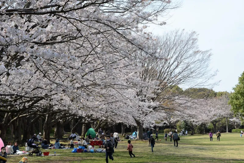 習志野市香澄公園