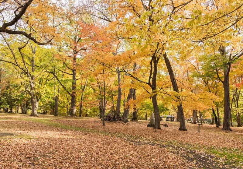鳥沼公園 3