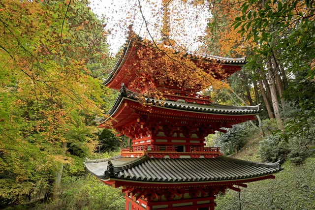 岩船寺 1