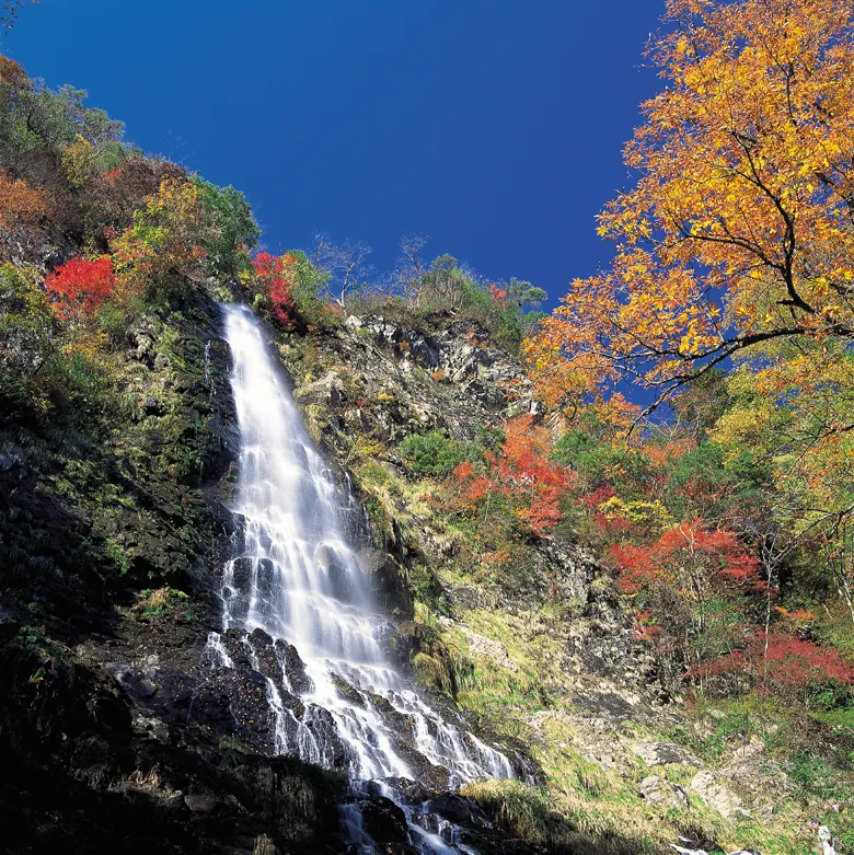天滝