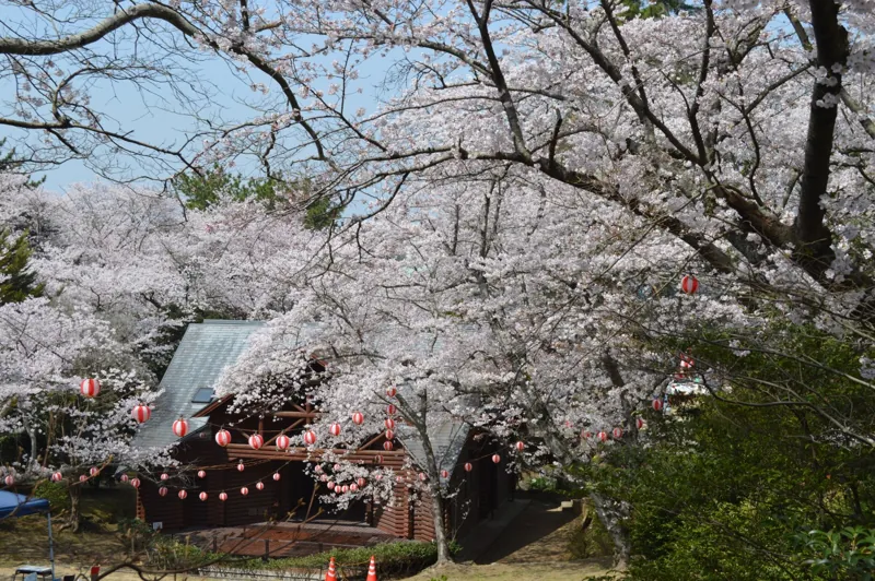 若山公園