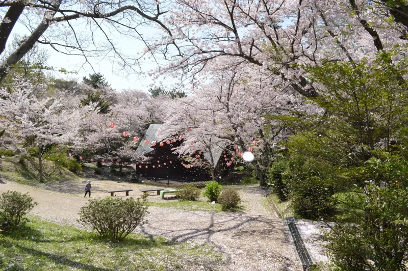若山公園 2