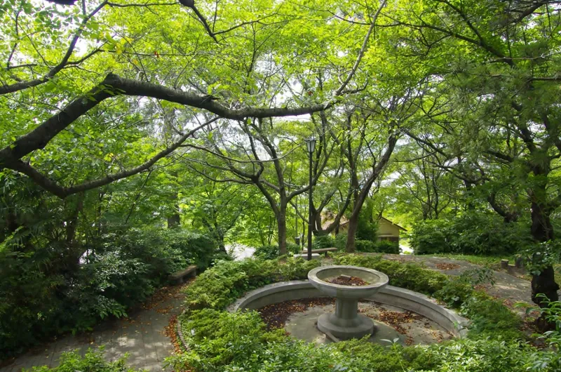 若山公園 3