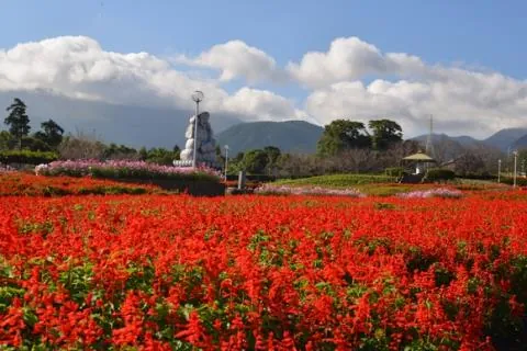 有明の森フラワー公園