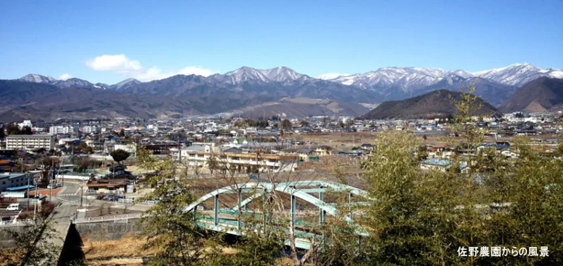 佐野農園