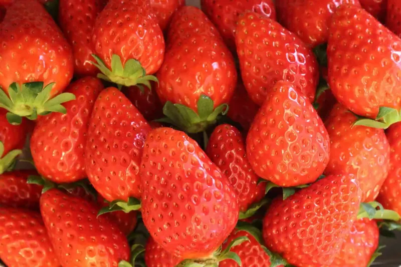 まるとよ苺園