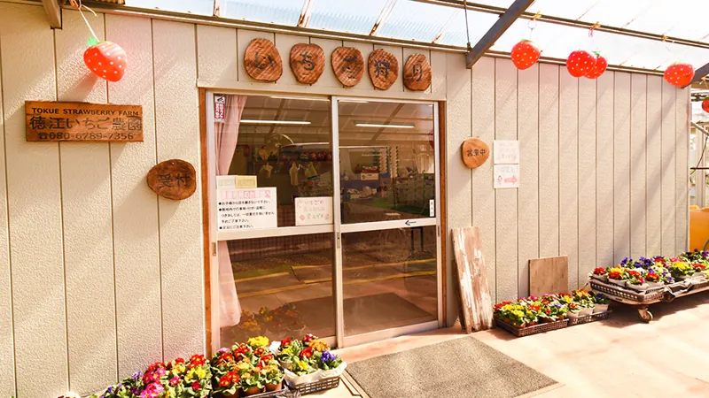徳江いちご農園 2
