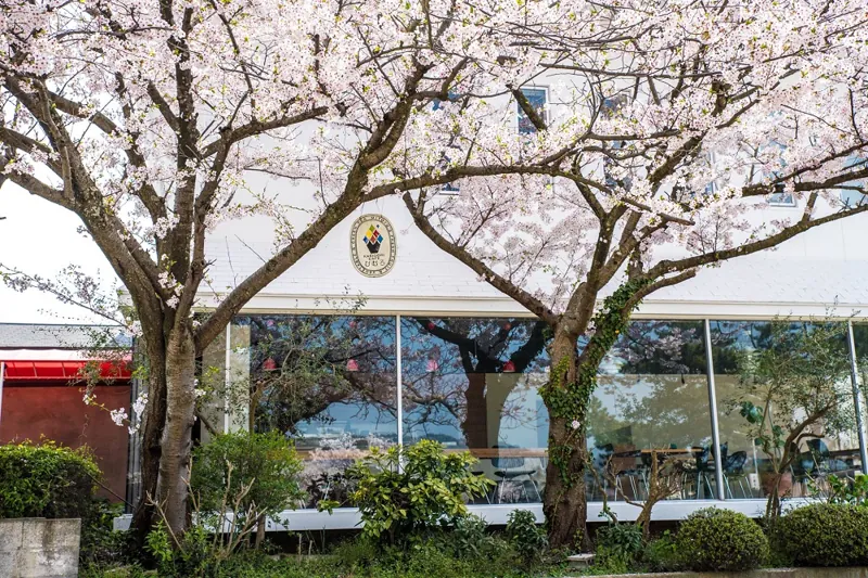 KAKIGORI CAFE ひむろ