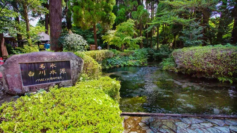 白川水源 1