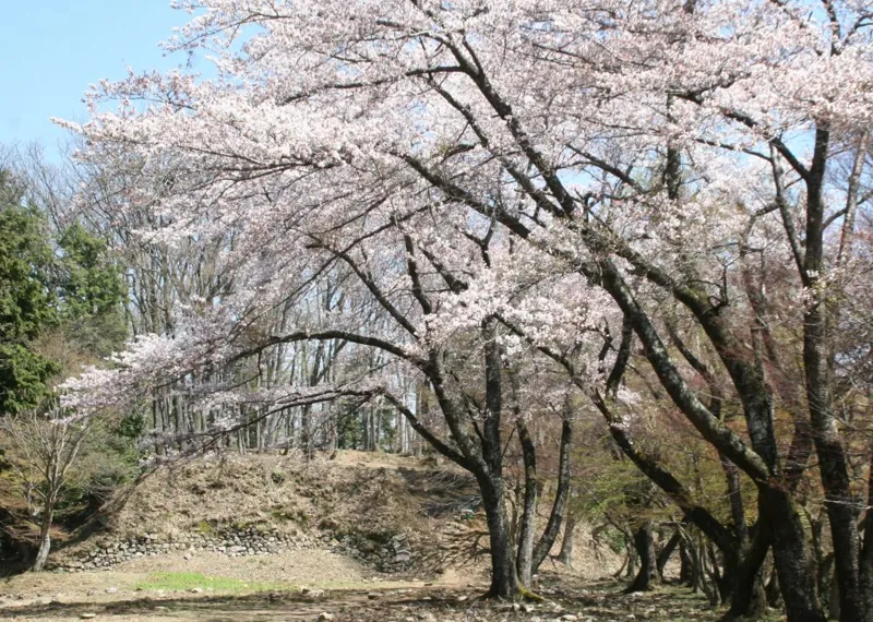 小谷城跡