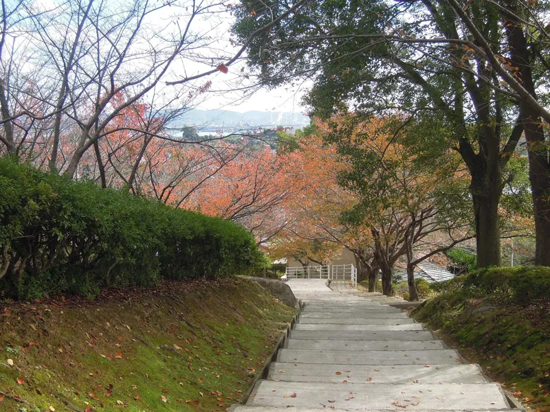 円通寺公園 2