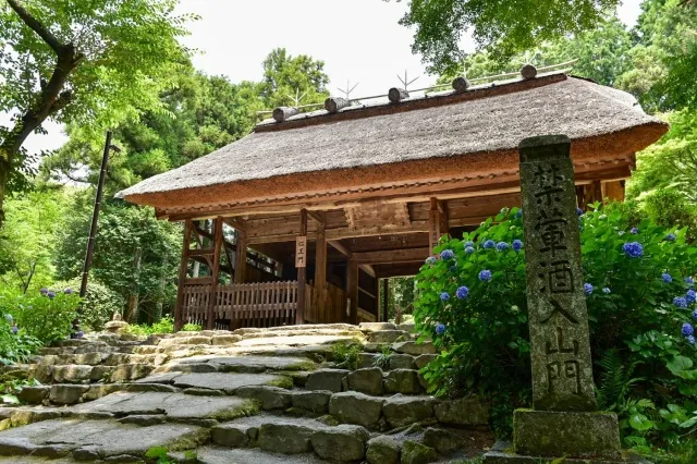 東大寺別院阿弥陀寺 1