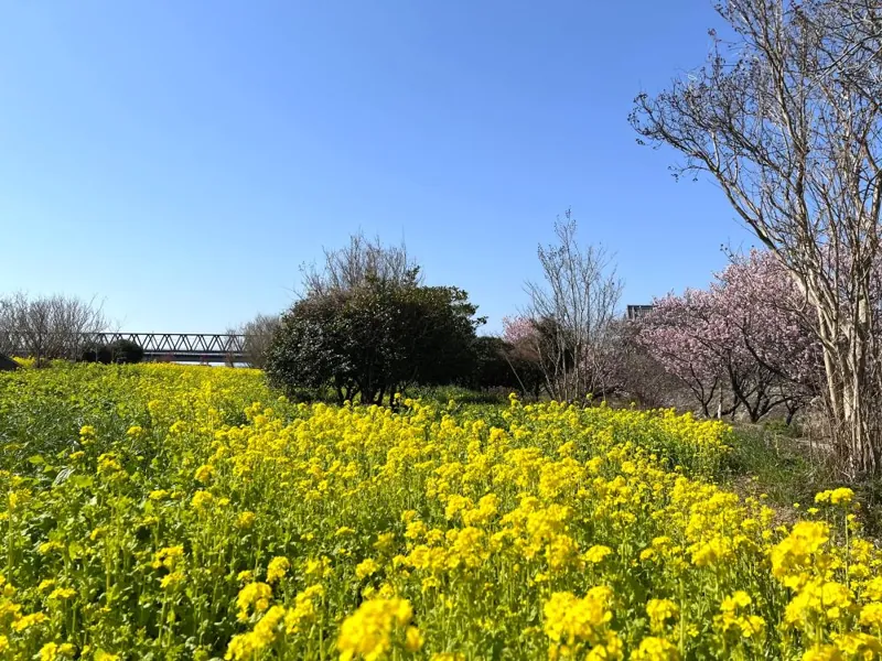 二十三士公園