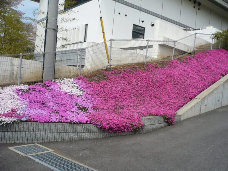 町田市立自由民権資料館 1