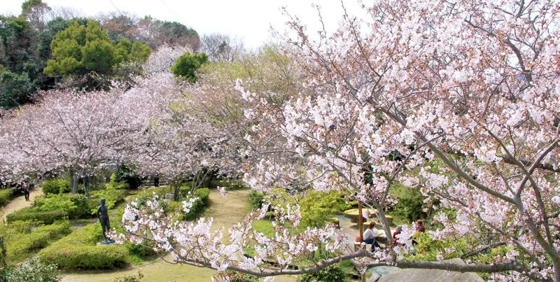 妙見山公園