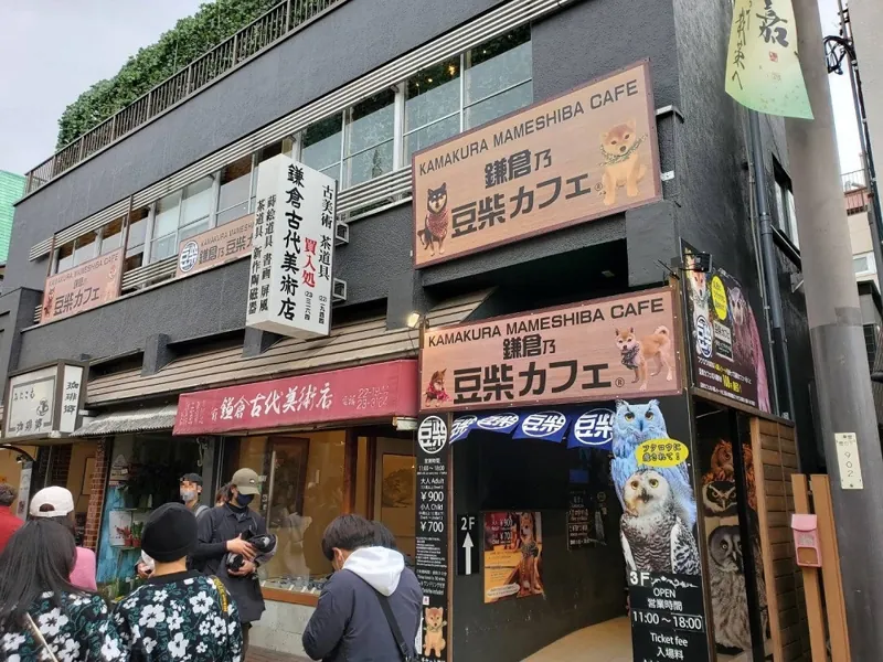 鎌倉乃豆柴カフェ
