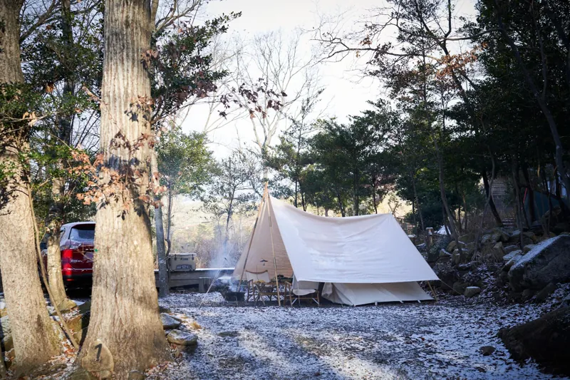 吉田観光農場
