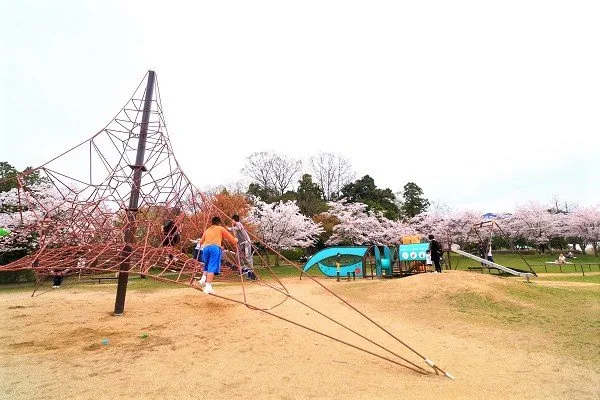 香久山公園 2