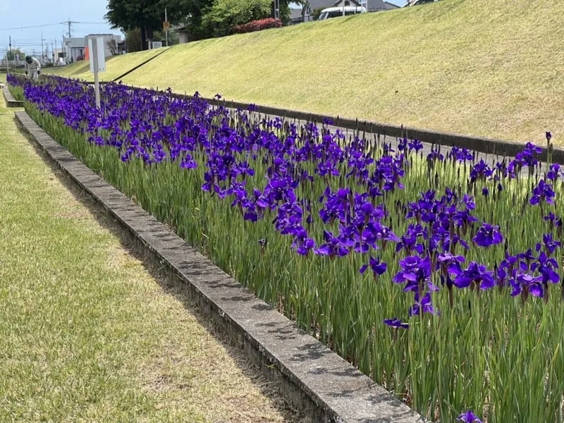 滝沢川公園