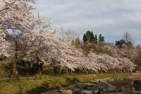 前森公園