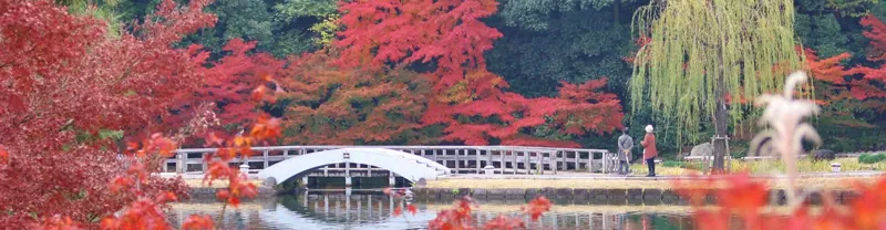 徳川園 3