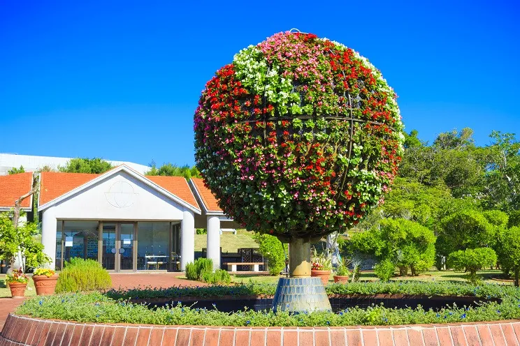 海洋博公園 熱帯・亜熱帯都市緑化植物園