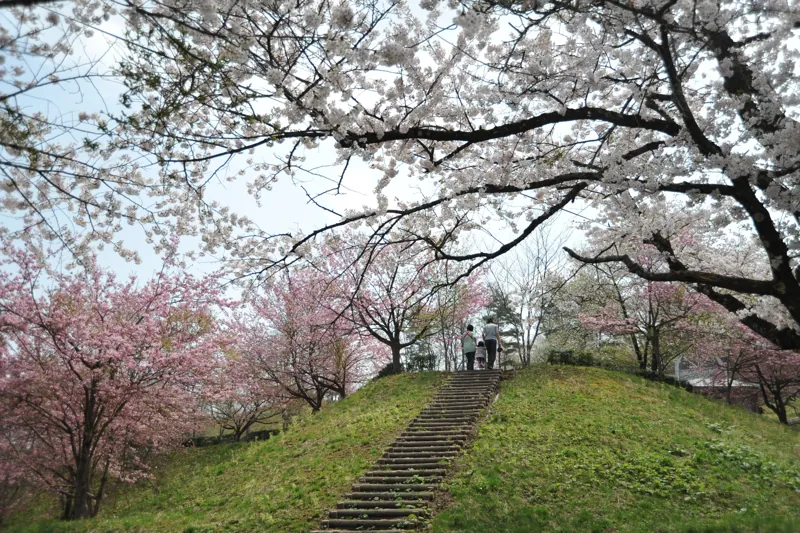 八乙女公園