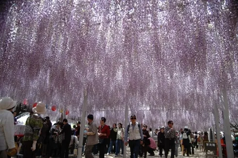 吉祥寺公園