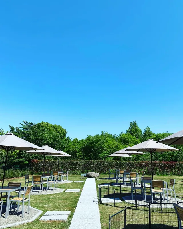 番屋カフェ 2