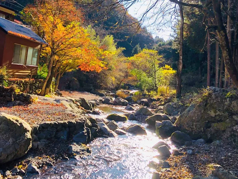 清東園キャンプ場
