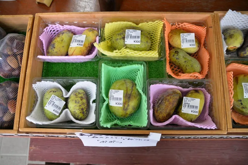 二ツ沼総合公園 2