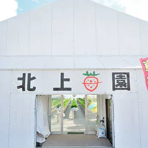 北上いちご園 3