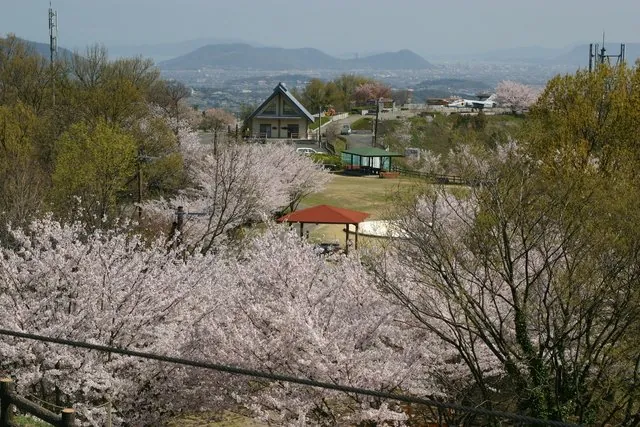 高山航空公園 2