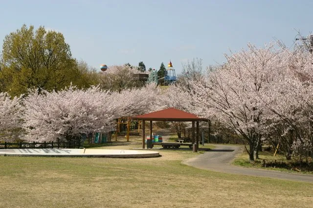 高山航空公園 3