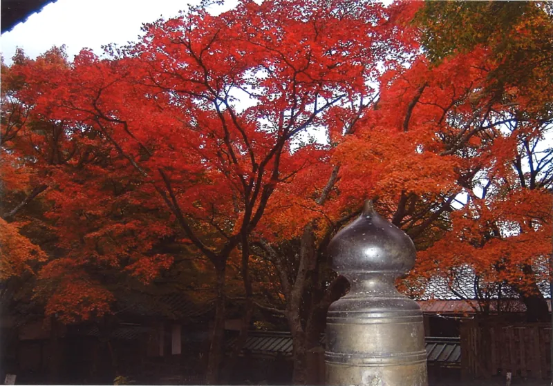 槇尾山 施福寺
