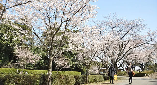 東公園（おひさまの丘） 2
