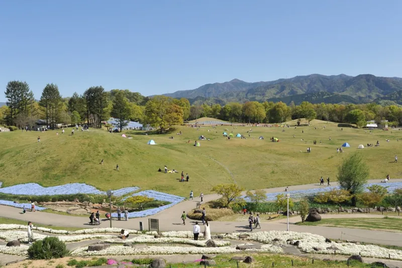 国営讃岐まんのう公園 2