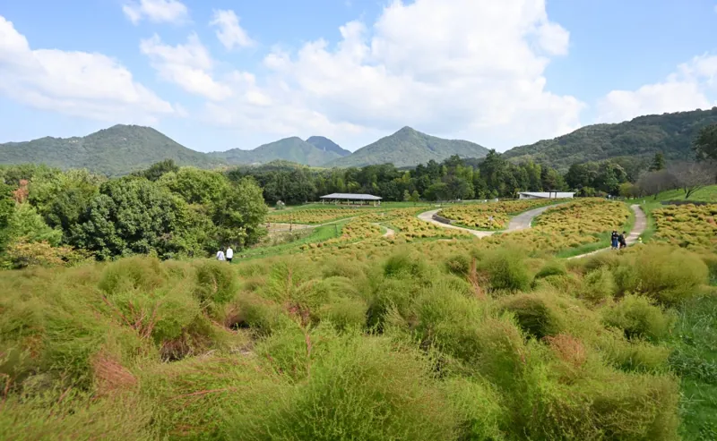 国営讃岐まんのう公園 3