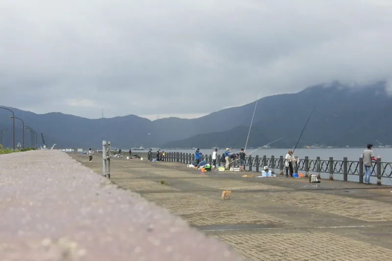 赤崎海水浴場 2