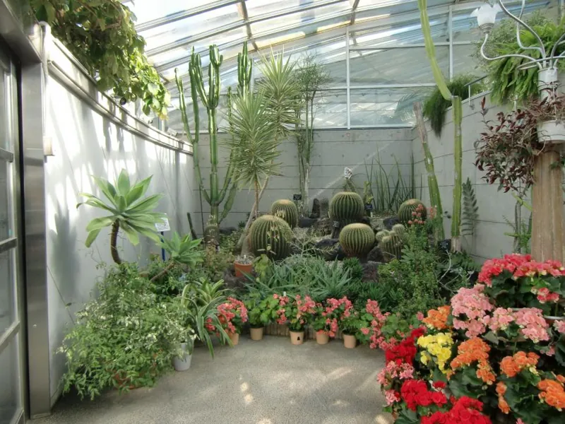 佐野植物公園 2