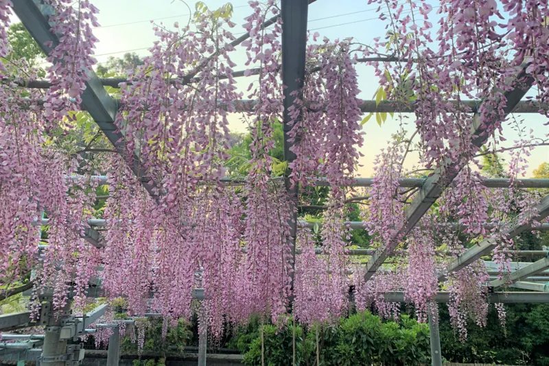 鶴形山公園
